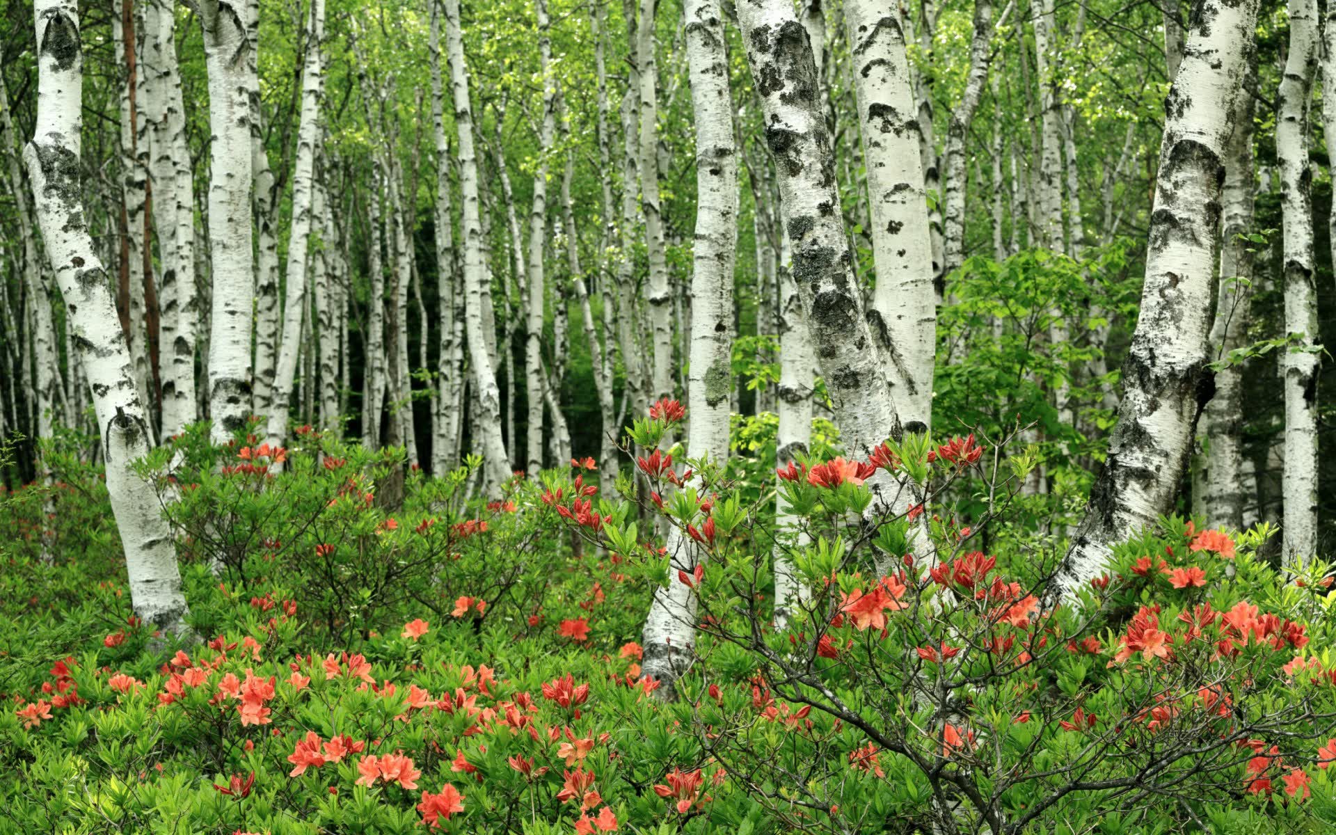 世界登山青年导师计划扩展国际交流营，登山专家