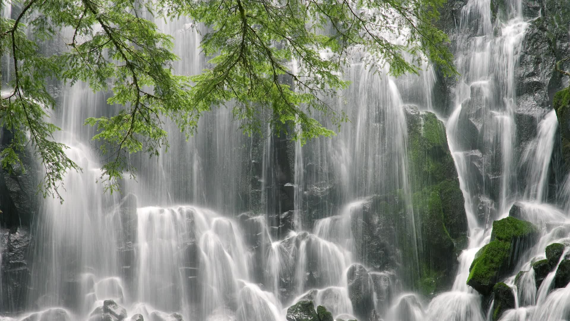 世界短道速滑青年赛赛后科研成果在学术会议获奖，短道速滑世界青年锦标赛